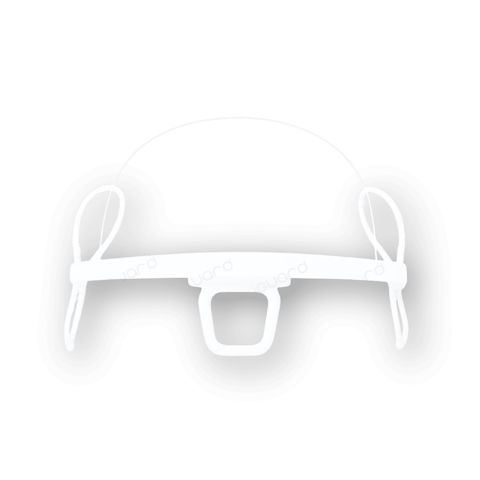PROGUARD Spit Guard Mask